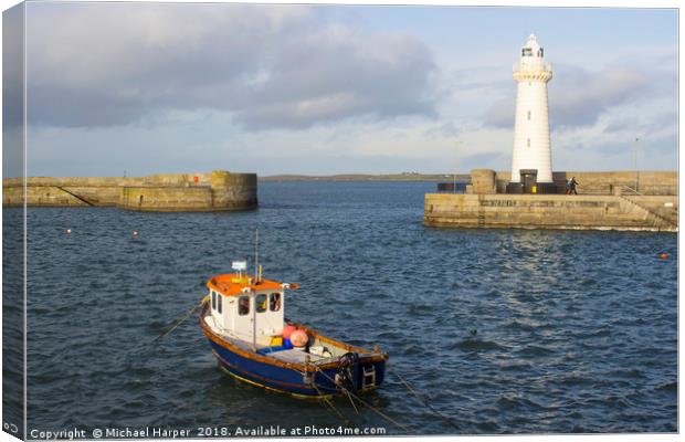 The lighthouse at Donaghadee Harbour Canvas Print by Michael Harper