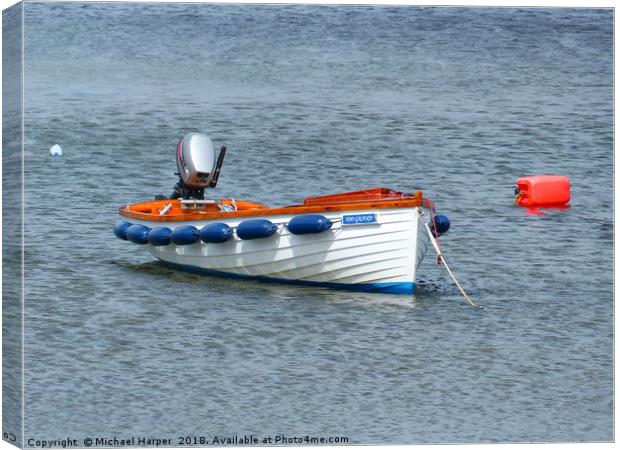 A Boat on its Mooring near Donaghadee Canvas Print by Michael Harper