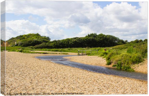 Footbridge across a small stream on the Solent Way Canvas Print by Michael Harper