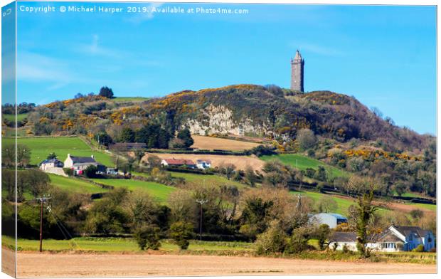 Scrabo Tower viewed from the south west on the Com Canvas Print by Michael Harper