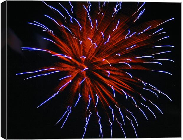 Fireworks Canvas Print by Larry Stolle