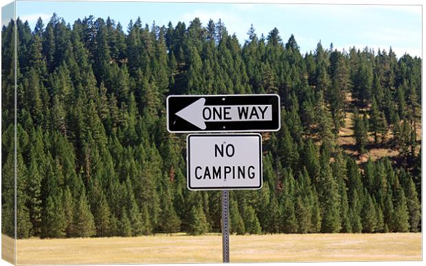No camping sign Canvas Print by Larry Stolle
