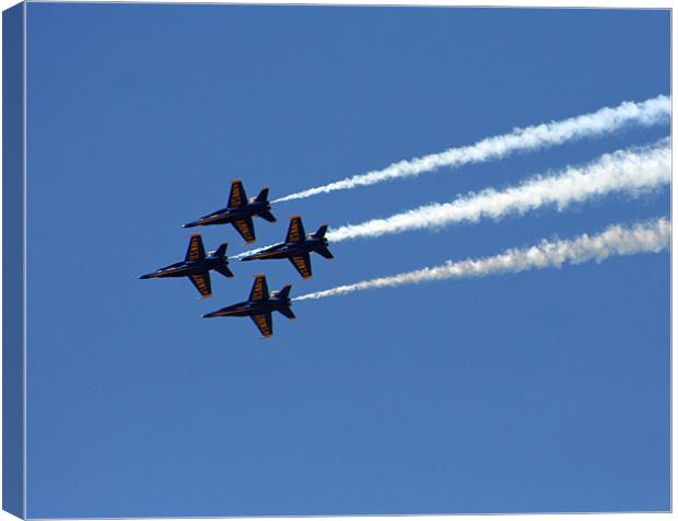 Blue Angels Canvas Print by Larry Stolle
