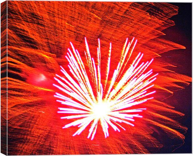 Beautiful  Red Fire Works Canvas Print by Larry Stolle