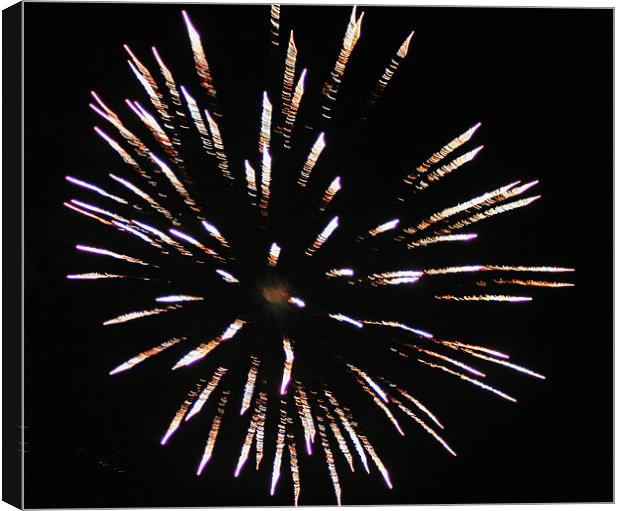Beautiful Fire Works Canvas Print by Larry Stolle
