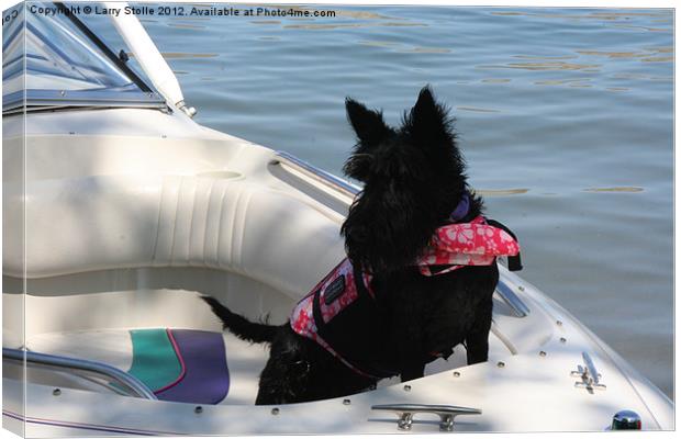 Dog in the Boat Canvas Print by Larry Stolle