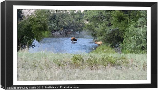 Elk in the River Canvas Print by Larry Stolle