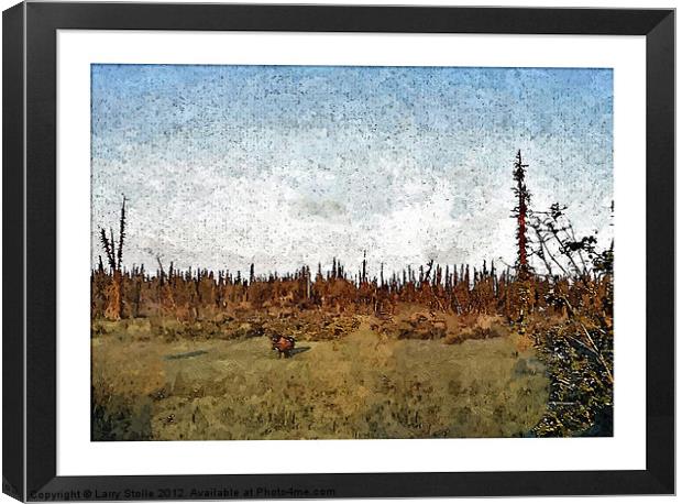 Alaska Moose Canvas Print by Larry Stolle