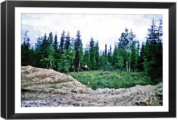 Moose in Alaska Canvas Print by Larry Stolle