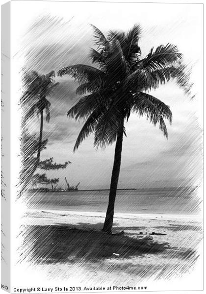 Palms Tree Canvas Print by Larry Stolle