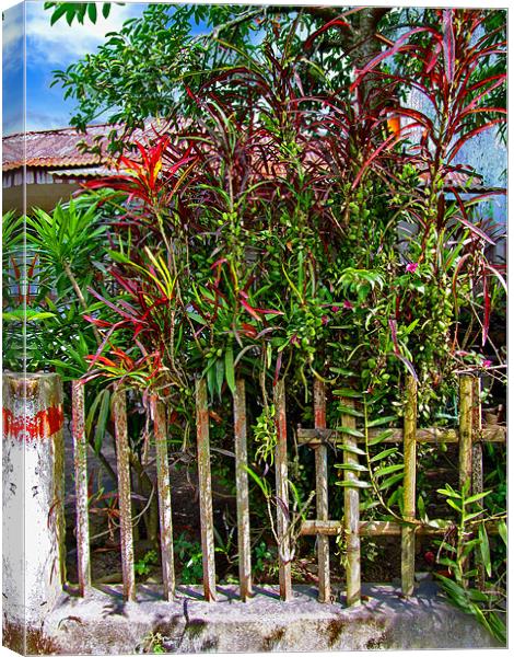 Plants in a Yard Canvas Print by Mark Sellers