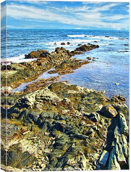 Rocky Shore Canvas Print by Mark Sellers