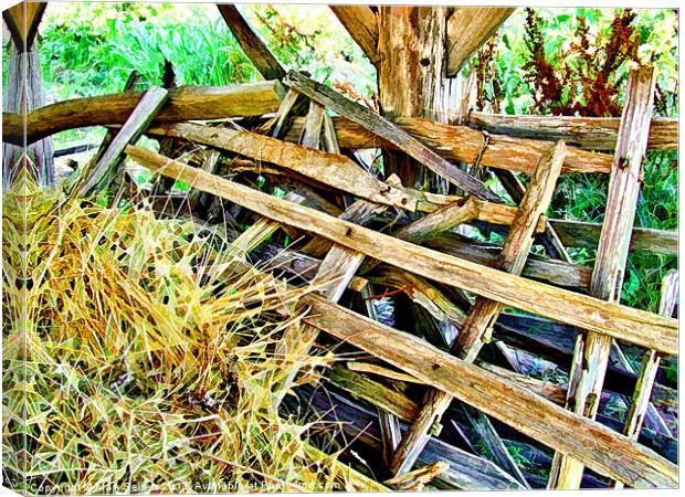 Hay Shed Artified Canvas Print by Mark Sellers