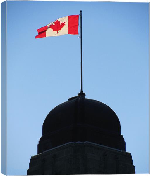 Canadian Flag (1) Canvas Print by Mark Sellers