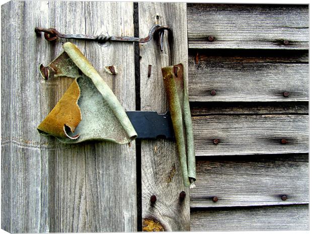 Old Shed Door Canvas Print by Mark Sellers