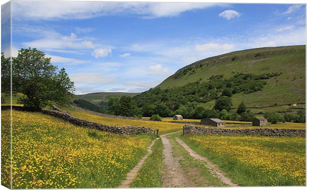 Barns in Swaledale Canvas Print by Karen Roscoe