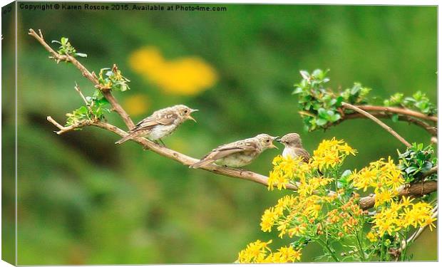  Spotted Flycatcher feeds her young Canvas Print by Karen Roscoe