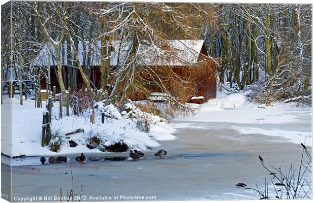 Strichen Winter Scene Canvas Print by Bill Buchan