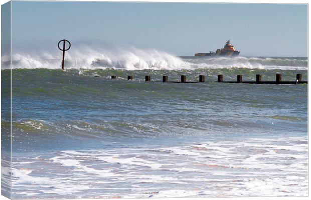Chased By Waves Canvas Print by Bill Buchan