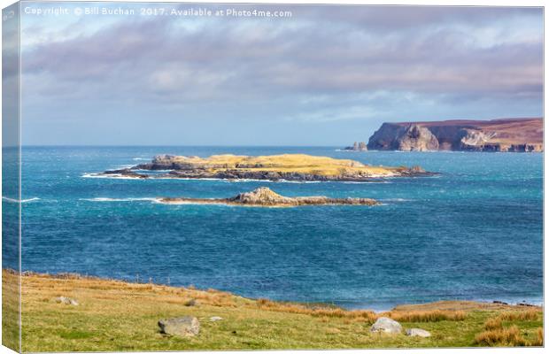 Eilean Hoan, Durness Canvas Print by Bill Buchan