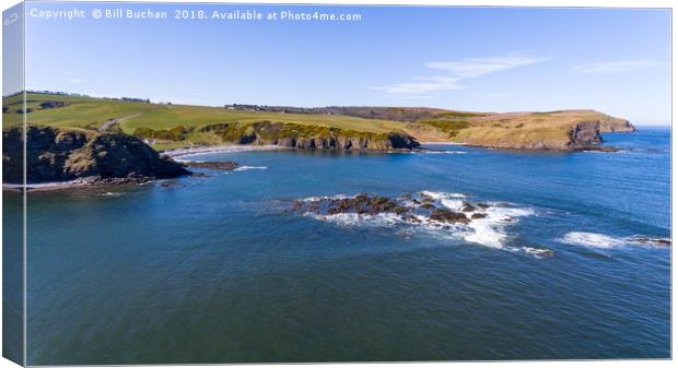 Troup Head And Cullykhan Bay Canvas Print by Bill Buchan