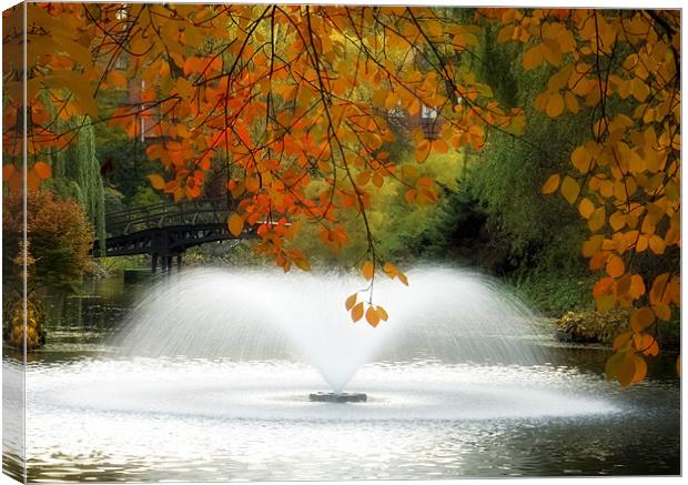 Wroclaw Park Canvas Print by david harding