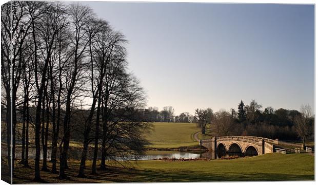 Blenheim Palace Park Canvas Print by david harding