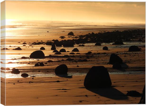 Mappleton Beach Canvas Print by Laura McGlinn Photog