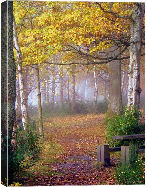 Misty Autumn Canvas Print by Laura McGlinn Photog