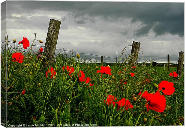 Stormy Poppies Canvas Print by Laura McGlinn Photog