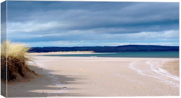 Tranquil Beach Canvas Print by Laura McGlinn Photog