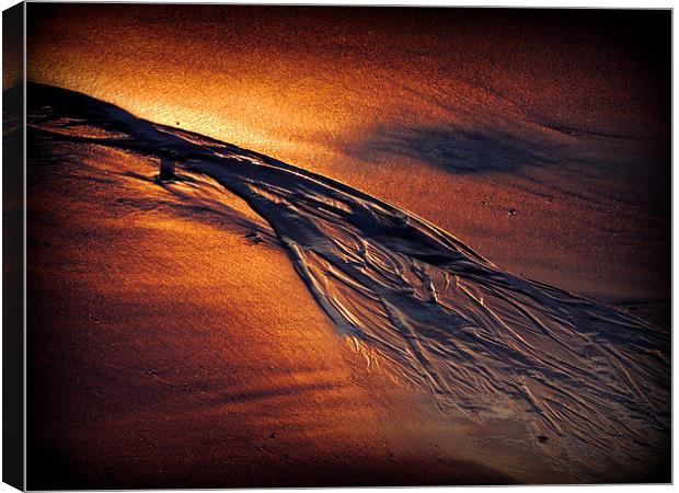  Golden Sand Canvas Print by Laura McGlinn Photog