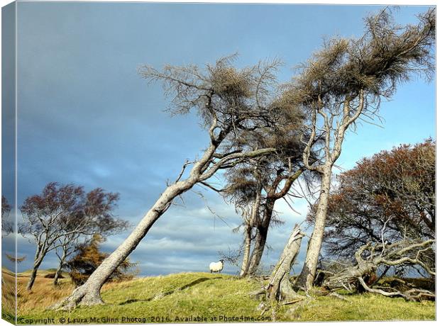 Tumbling Over Canvas Print by Laura McGlinn Photog