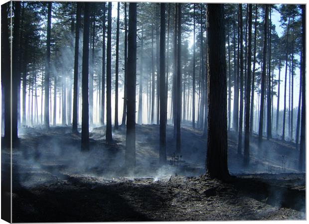 Forest Fire Smoking Aftermath Canvas Print by Dane Lenander