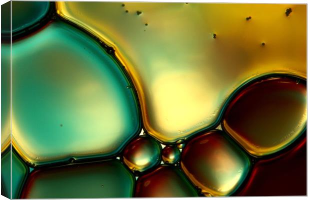 Oil & Water Abstract I Canvas Print by Sharon Johnstone