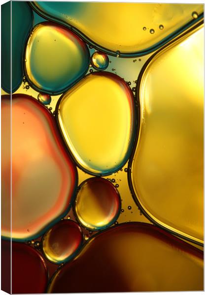 Oil & Water Abstract II Canvas Print by Sharon Johnstone