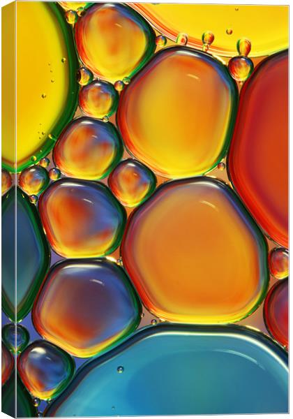 Tropical Oil & Water II Canvas Print by Sharon Johnstone