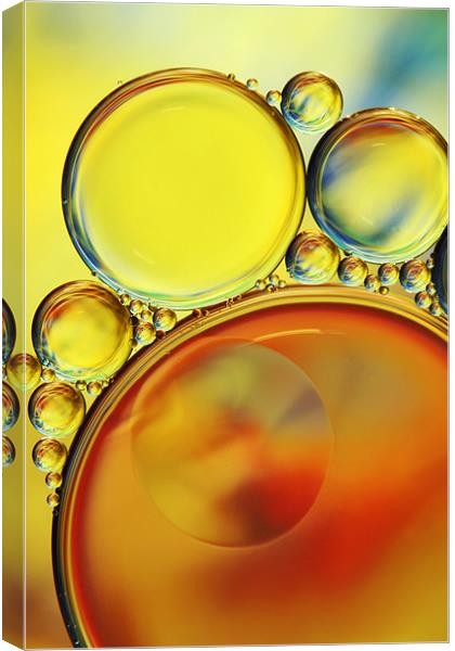 Abstract Oil Drops IV Canvas Print by Sharon Johnstone