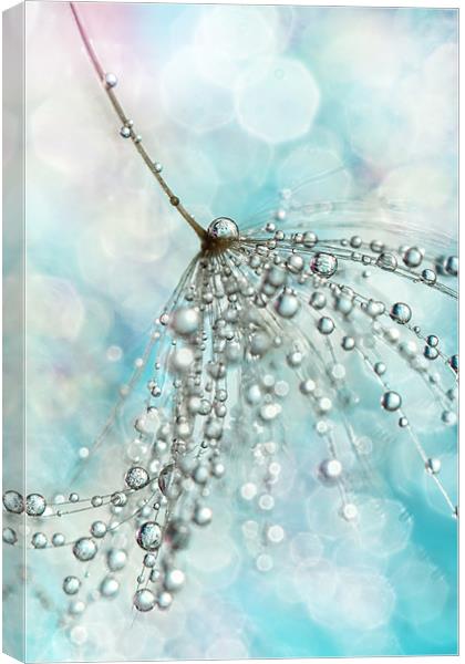 Shower Sparkles Canvas Print by Sharon Johnstone