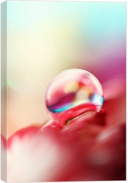 Dreamy Droplet Canvas Print by Sharon Johnstone