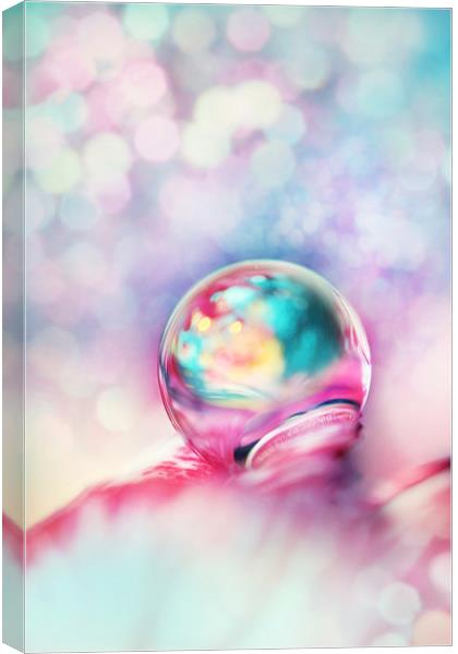A Drop of Fun Canvas Print by Sharon Johnstone