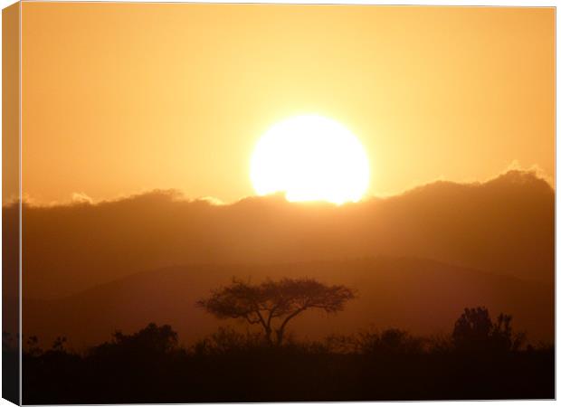 Masai Mara Sunrise kenya Canvas Print by grant norton