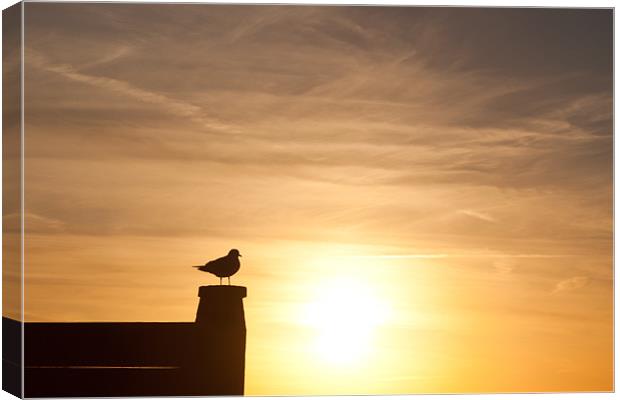 Whitstable Winter Sunset Canvas Print by Robert Coffey
