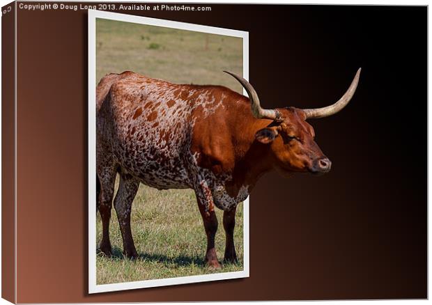 Out of Frame Longhorn Canvas Print by Doug Long