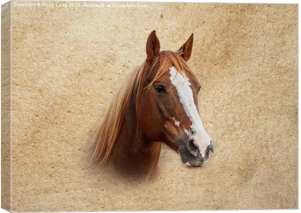 Portrait of a Mare Canvas Print by Doug Long