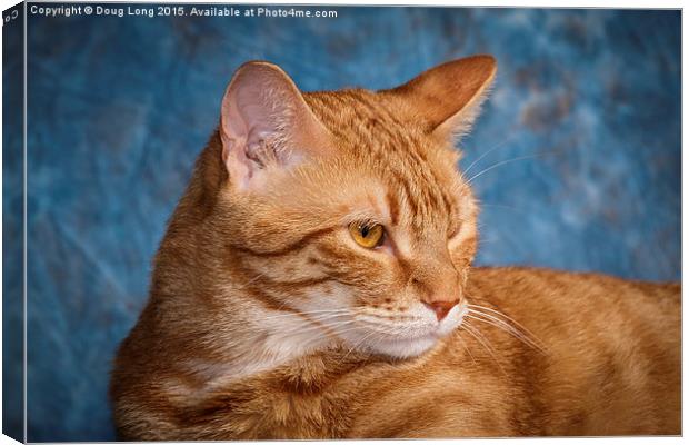 Red Cat Canvas Print by Doug Long
