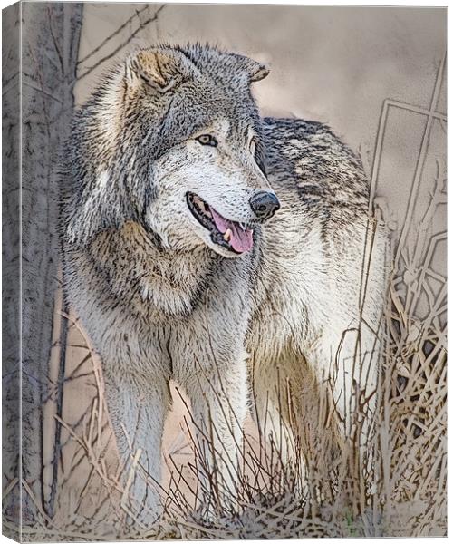 Wolf By Tree Canvas Print by Dennis Hirning