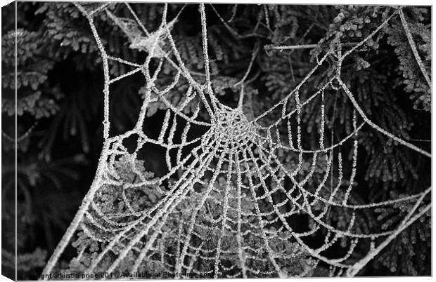 beaded web Canvas Print by kirstin price