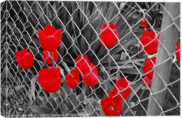 don't fence me in Canvas Print by kirstin price