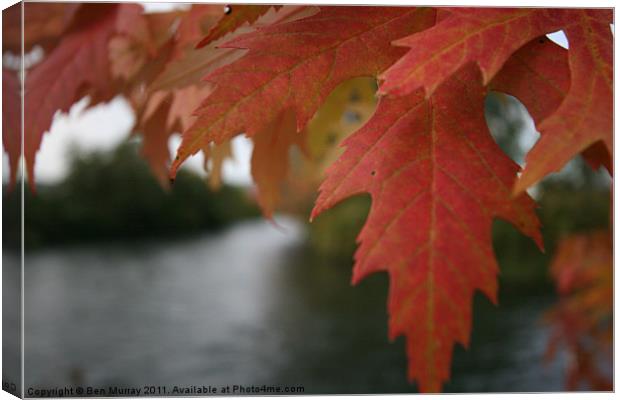 River in Autumn Canvas Print by Ben Murray